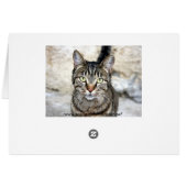 Egyptian Cat (Back Horizontal)