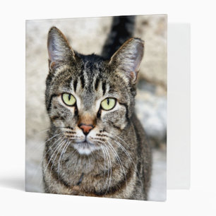 Egyptian Cat Binder