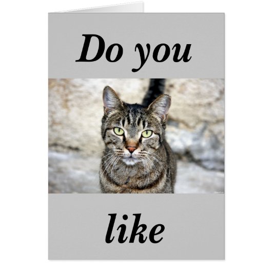 Egyptian Cat Cards (Front)