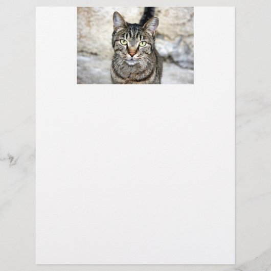 Egyptian Cat Letter Head (Front)