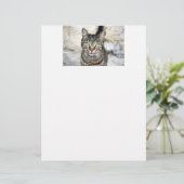 Egyptian Cat Letter Head (Standing Front)