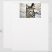 Egyptian Cat Letter Head (Front/Back)