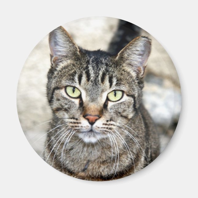 Egyptian Cat Magnet (Front)