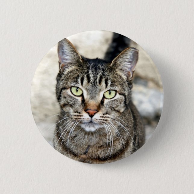 Egyptian Cat Pinback Button (Front)