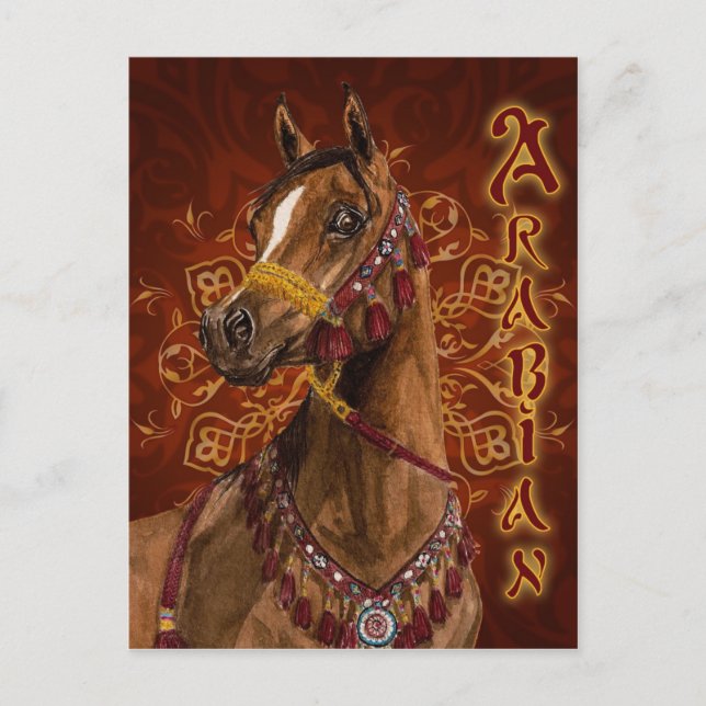 Egyptian Dream Arabian horse postcard (Front)