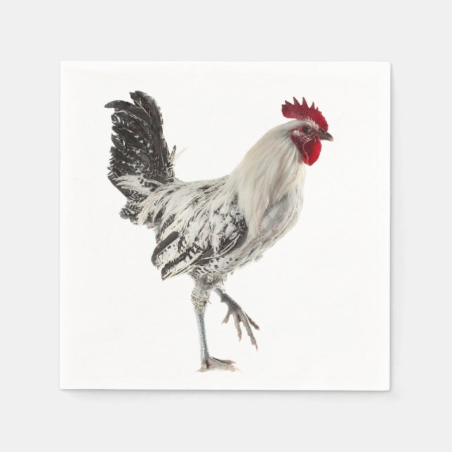 Egyptian Fayoumis Rooster Napkins (Front)