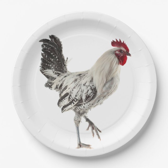 Egyptian Fayoumis Rooster Paper Plates (Front)