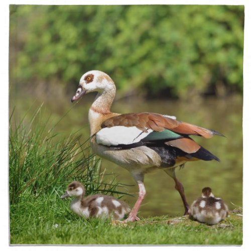 Egyptian Geese and chicks Napkin