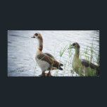 Egyptian Geese Oil Print<br><div class="desc">This beautiful oil print of Egyptian Geese will adorn the walls of your home with the mystic and mystery of these strange and decorative visitors.</div>