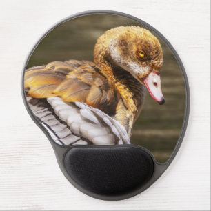 Egyptian Goose Gel Mousepad Wildlife Bird Art
