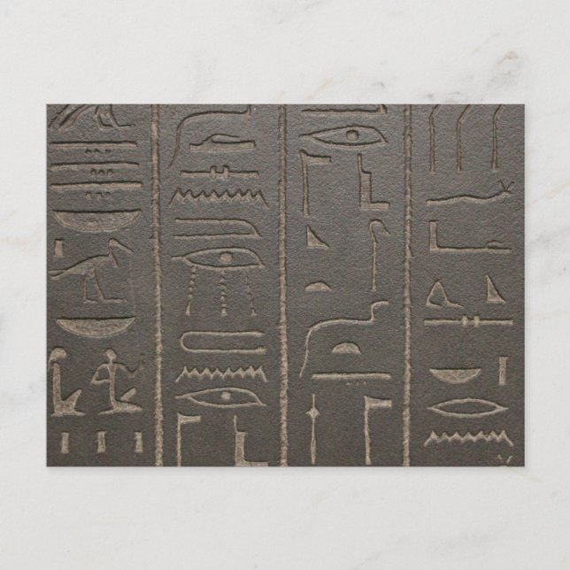 Egyptian Hieroglyphs Ancient Egypt Writing Symbols Postcard (Front)