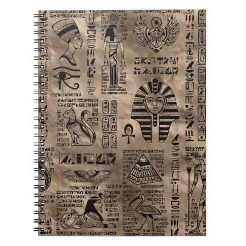 Egyptian hieroglyphs and deities _ Luxury Gold Notebook