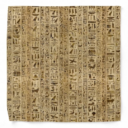 Egyptian hieroglyphs on papyrus bandana