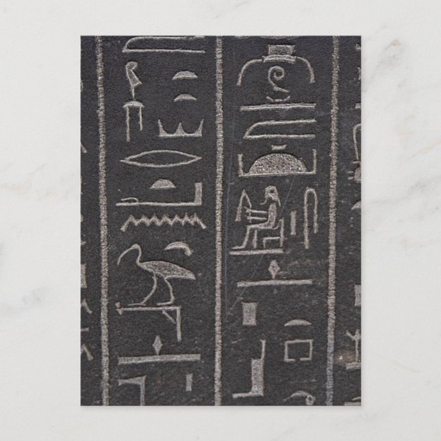 Egyptian Hieroglyphs Postcard (Front)