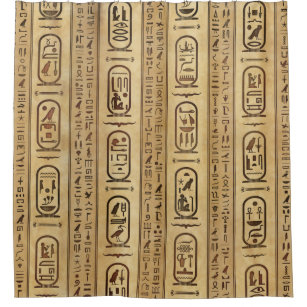 Egyptian hieroglyphs Vintage Texture Shower Curtain
