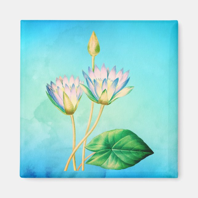 Egyptian Lotus Vintage Botanical Illustration Magnet (Front)