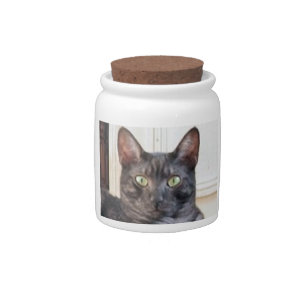 egyptian mau candy jar