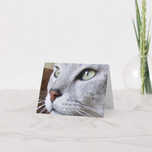 Egyptian Mau Card (Front)