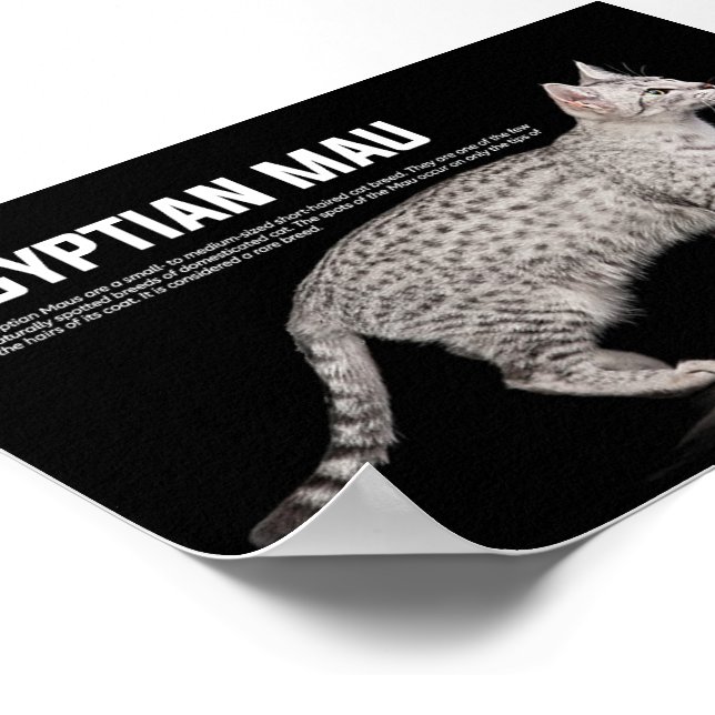 Egyptian Mau Cat Breed Poster Zazzle