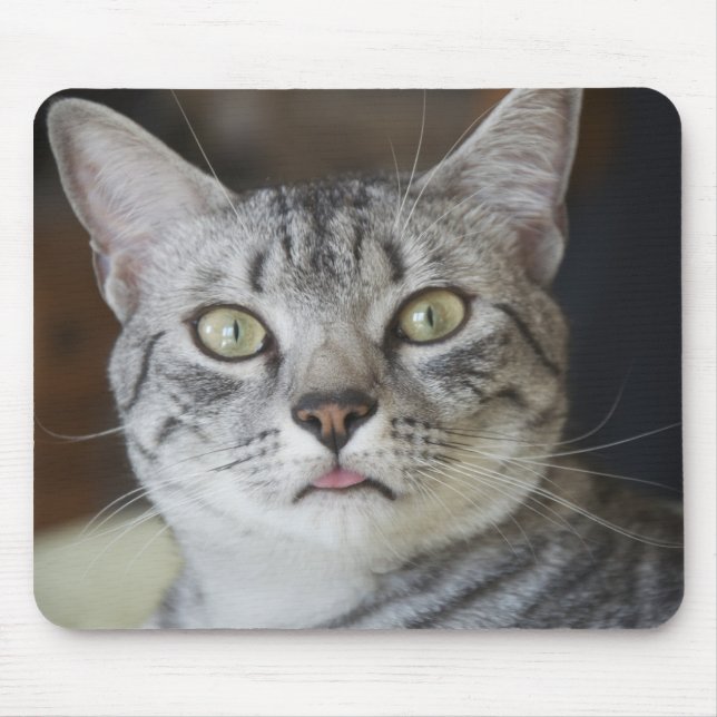 Egyptian Mau Cat Mouse Pad (Front)