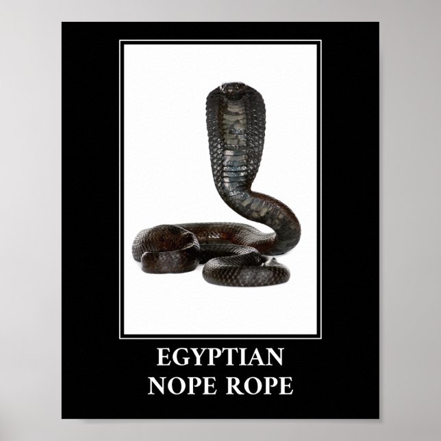 Egyptian Nope Rope - Cobra Snake Danger Poster (Front)