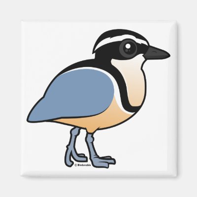 Egyptian Plover Magnet