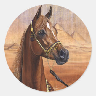 Egyptian Princess Arabian horse stickers