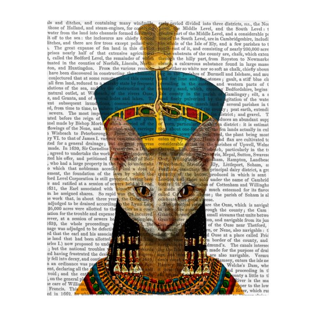 Egyptian Queen Cat Acrylic Print (Front)
