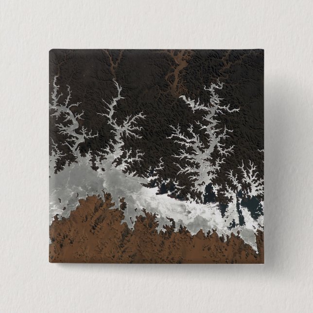 Egypt's Lake Nasser Button (Front)