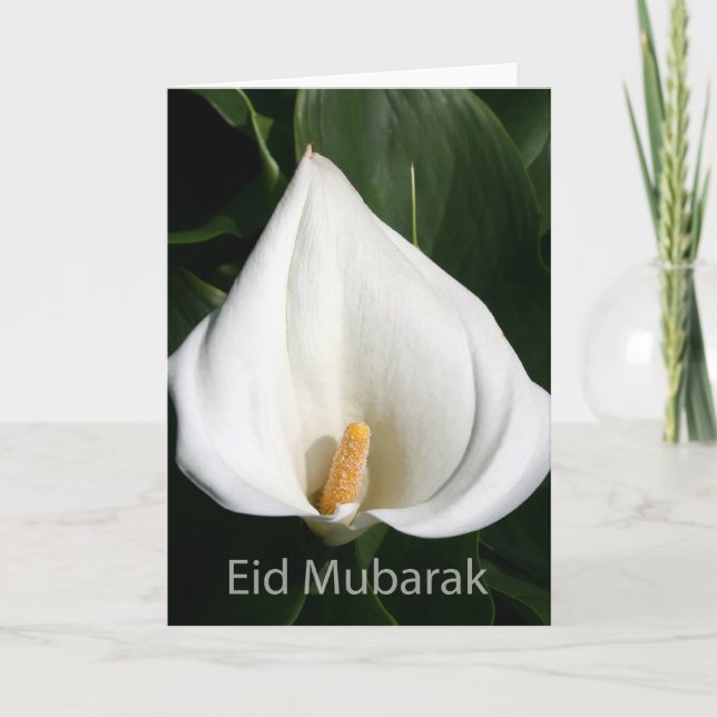 Eid Mubarak Holiday Card (Front)