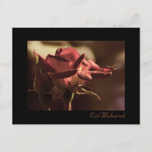 Eid Mubarak - red rose postcard