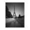 Eiffel Tower 3