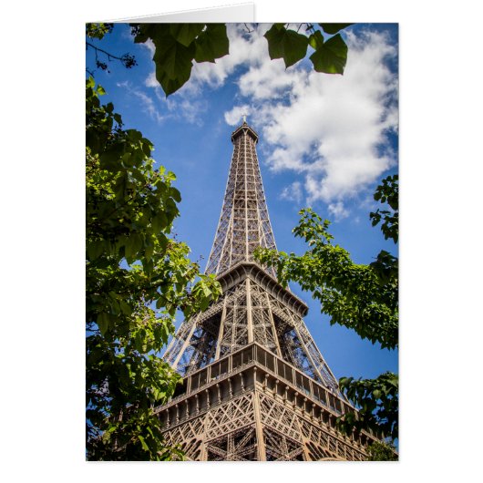 Eiffel Tower Between The Trees Cards (Front)