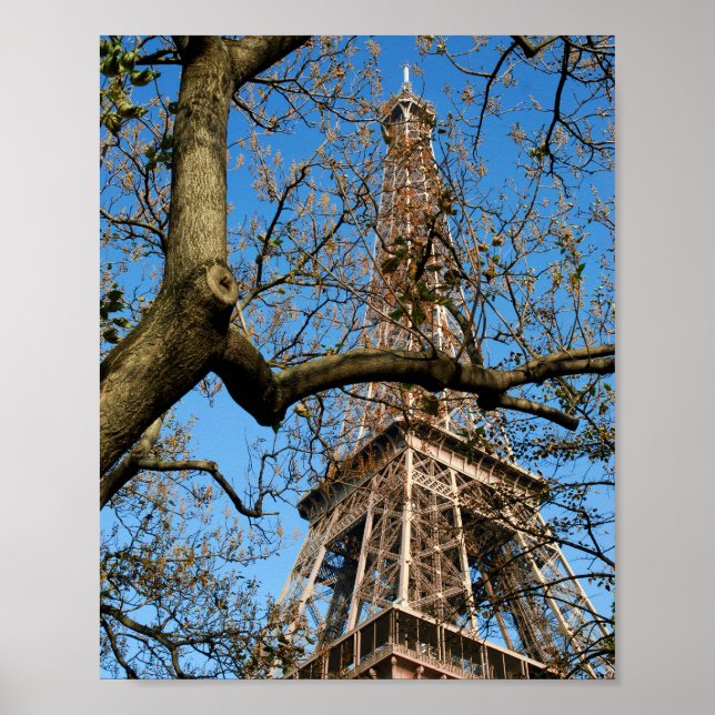 Eiffel tower of Paris in France Postcard Poster (Front)