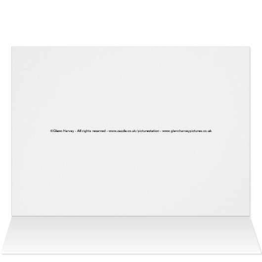 Eiffel Tower Paris France (Inside Horizontal (Top))