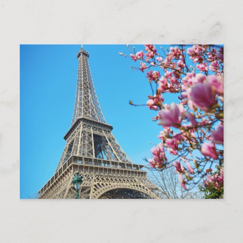 Eiffel Tower Paris France Pink Blossom Postcard