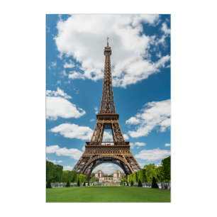 Eiffel Tower View from Champ de Mars Public Park Acrylic Print