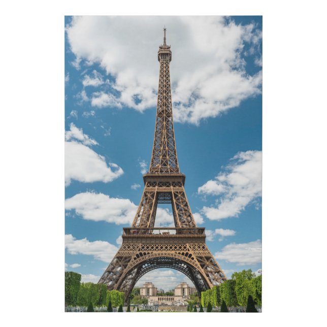 Eiffel Tower View from Champ de Mars Public Park Faux Canvas Print (Front)