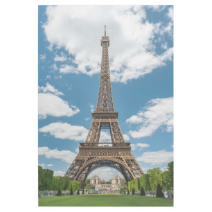 Eiffel Tower View from Champ de Mars Public Park Gallery Wrap