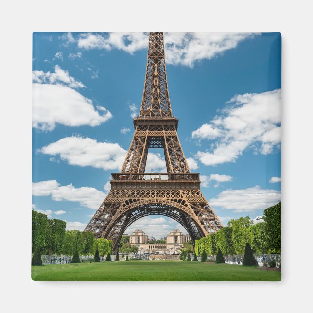 Eiffel Tower View from Champ de Mars Public Park Magnet (Front)