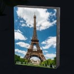 Eiffel Tower View from Champ de Mars Public Park Wooden Box Sign<br><div class="desc">Paris France Eiffel Tower seen from Champ de Mars park with green lawn and visitors under sunny sky</div>