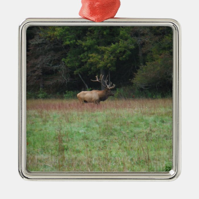 Eight 8 Point Bull Elk in Autumn Ornaments