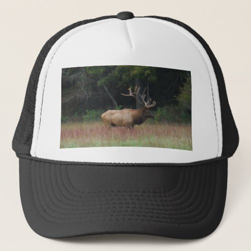 Eight 8 Point Bull Elk in Autumn Trucker Hat