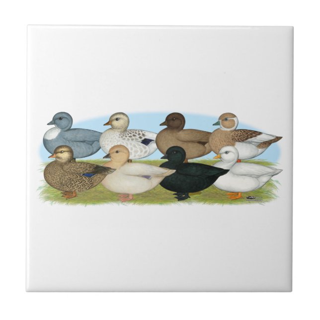 Eight Call Ducks Tile (Front)