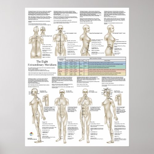 Eight Extra Acupuncture Extraordinary Meridians Poster