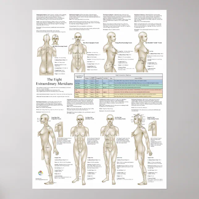 Extra Meridians Eight Extra Acupuncture Extraordinary Meridians Poster | Zazzle