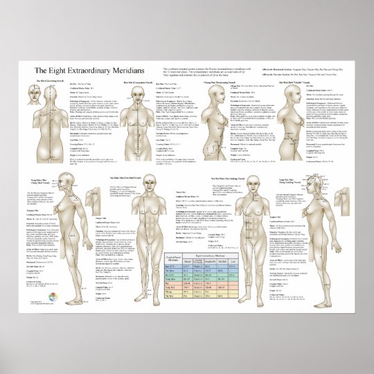 Eight Extra Acupuncture Extraordinary Meridians Poster | Zazzle.com