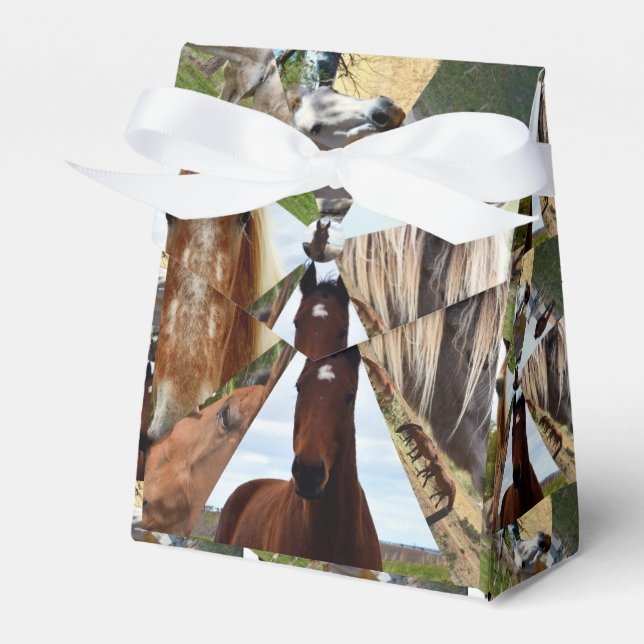 Eight Horse Triangles, Party Favor Box (Front Side)