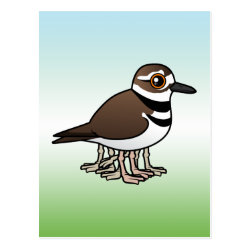 Eight-legged Killdeer Postcard