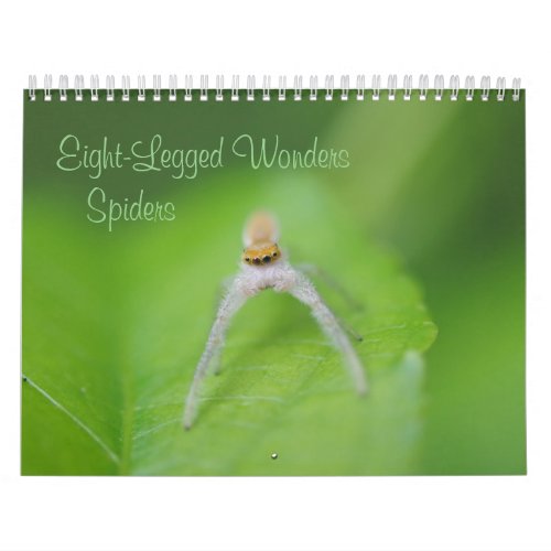 Eight_Legged Wonders _ Spiders Calendar